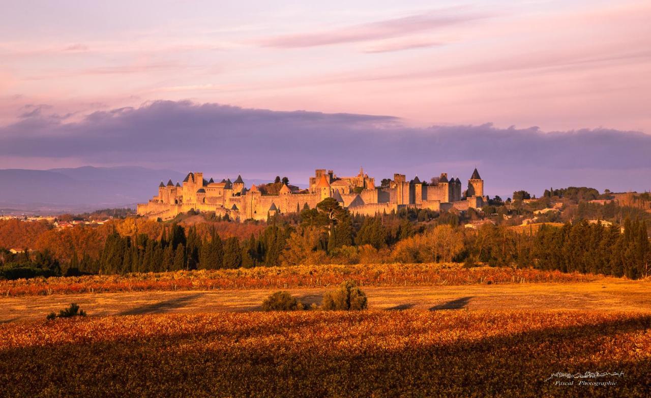 Residence Alpha Centauri Carcassonne Zewnętrze zdjęcie